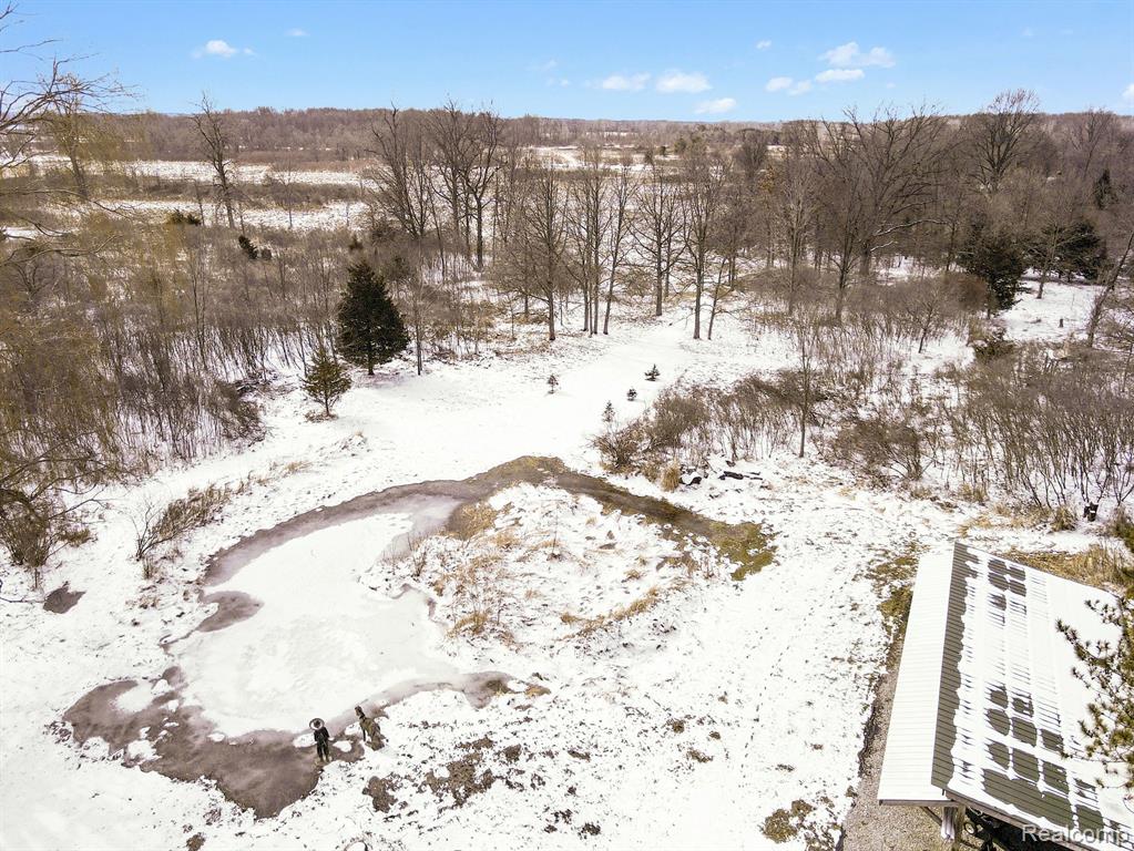 9631 BYRON Road, Howell, MI 48855 — Photo 39