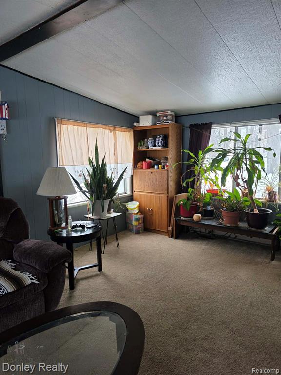 6174 Marlette Street, Marlette, MI 48453 — Photo 4