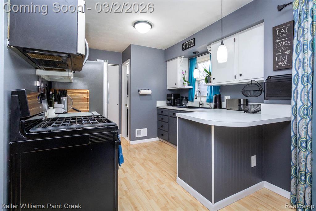 11346 Stoney Brook Drive, Grand Ledge, MI 48837 — Photo 16