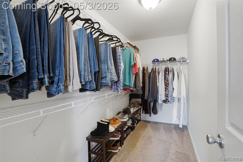 Primary Bedroom Walk in closet featuring light carpet