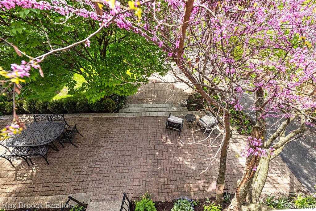 916 Knox Street, Birmingham, MI 48009 — Photo 28