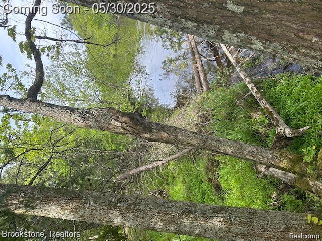 4148 Blue Vista Drive, Evart, MI 49631 — Photo 10