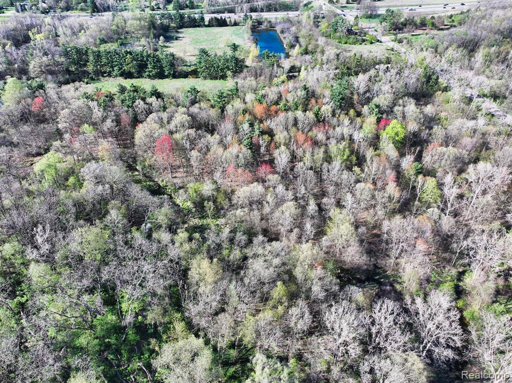 5920 PLEASANT VALLEY Road, Brighton, MI 48116 — Photo 11