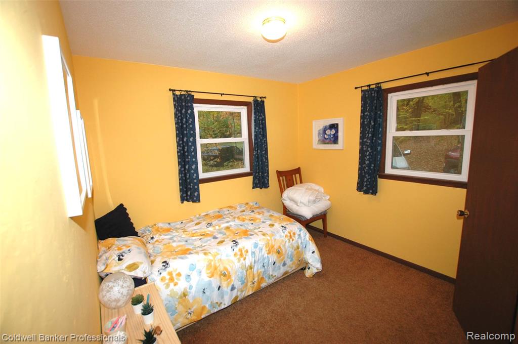 10120 Alpine Drive, Reed City, MI 49677 — Photo 10