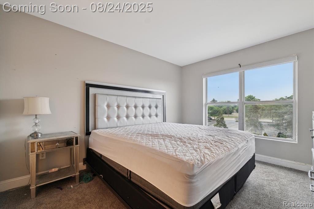 23424 Grayson Drive, Southfield, MI 48075 — Photo 19