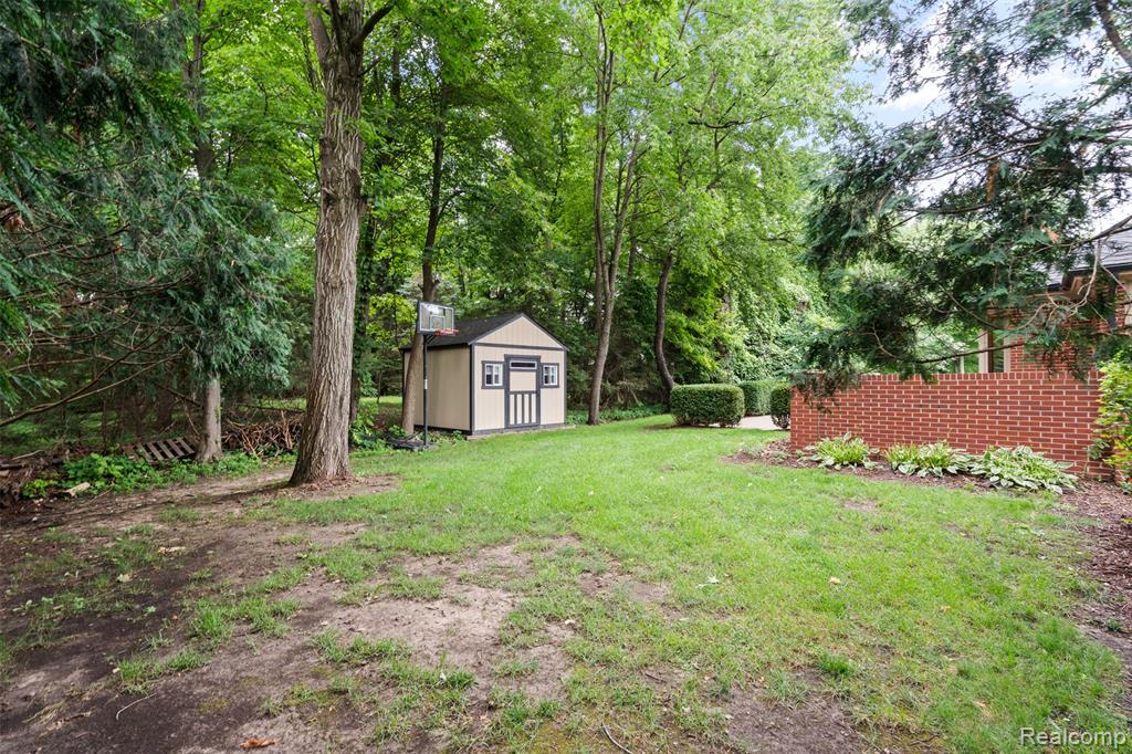 View of green lawn with a shed