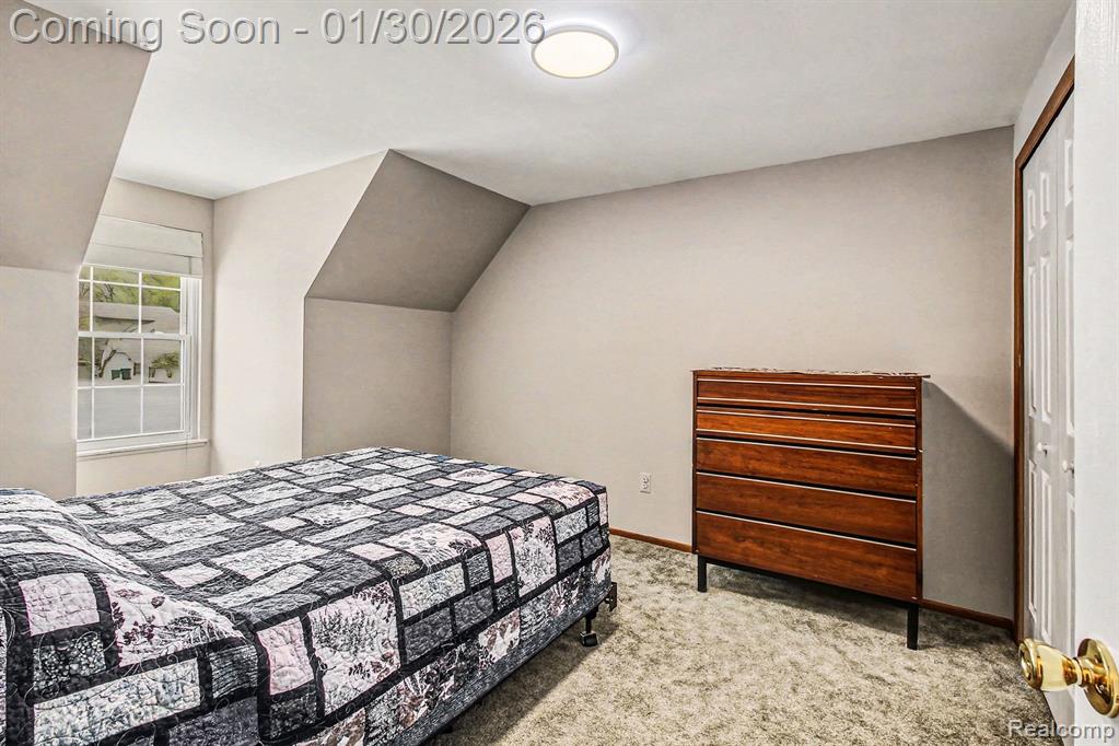 858 Alpine Drive, Brighton, MI 48116 — Photo 19