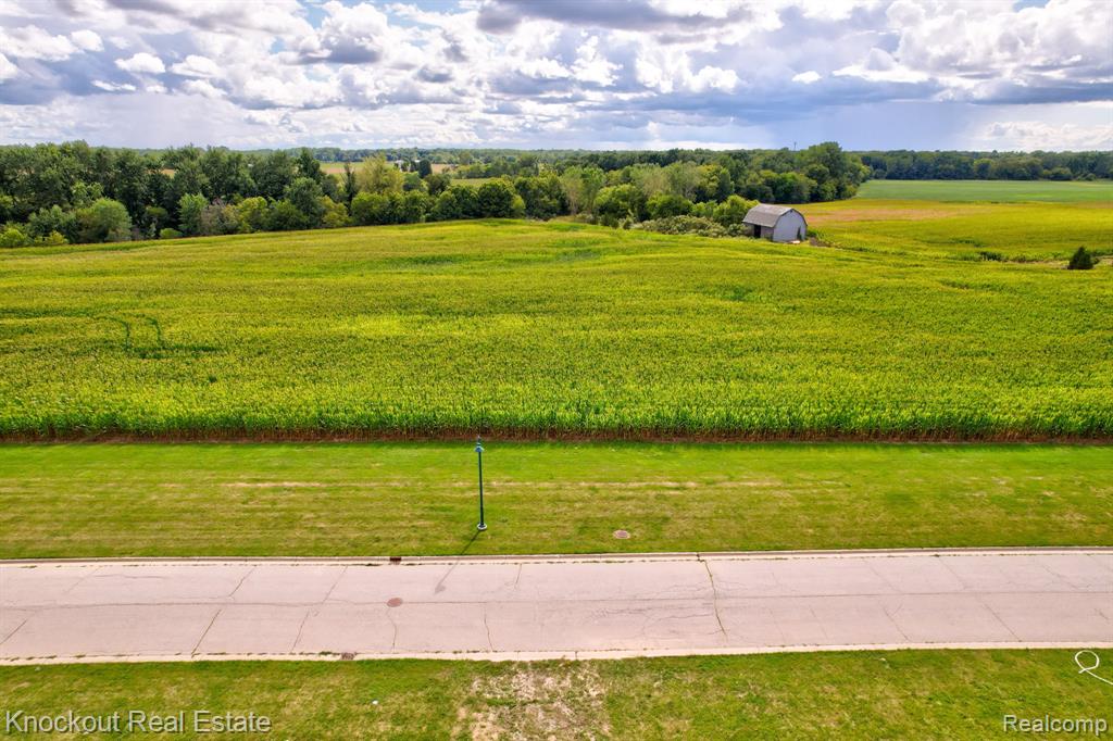 Parcel E W Rolling Hills Drive, Bridgeport, MI 48722 — Photo 7