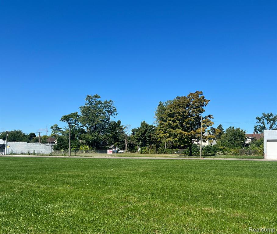 Parcel 10 Leaf Lane, Freeport, MI, 49325 Parcel 10 Leaf Lane, Freeport, MI, 49325