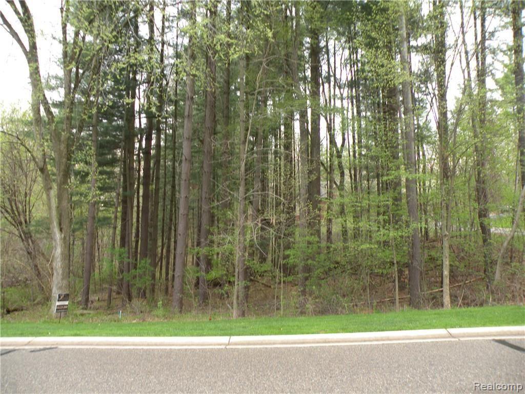 Lot #33 Alta Vista Alta Vista Drive, Pinckney, MI 48169 — Photo 7