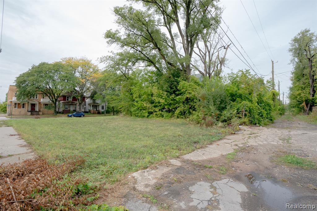 3102 Canton Street, Detroit, MI, 48207