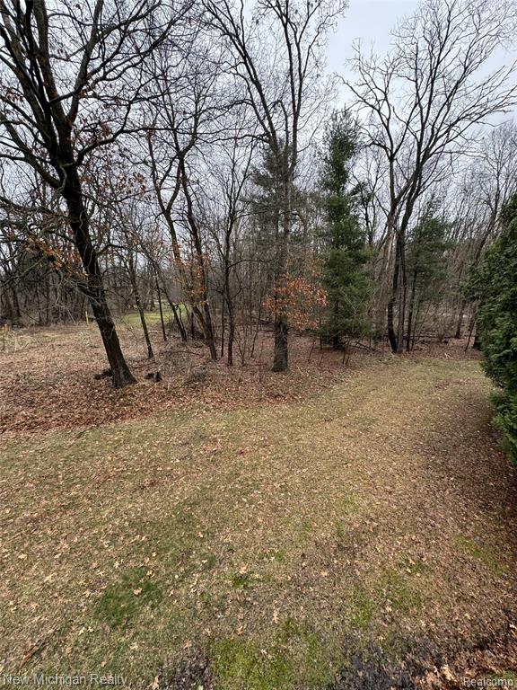 3989 S Shore Drive, Commerce Twp, MI 48382 — Photo 73