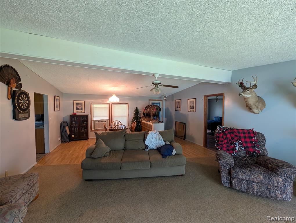 11175 S Morrice Road, Morrice, MI 48857 — Photo 11