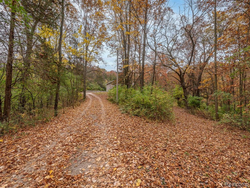 12349 COLLER, Tipton, MI 49287 — Photo 40