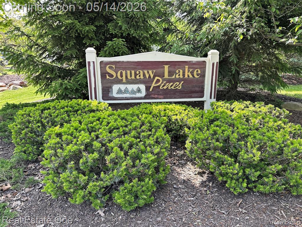 2338 Malena Lane, Oxford, MI 48371 — Photo 60