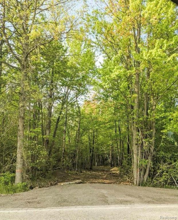 9473 E Broomfield Road, Mount Pleasant, MI 48858 — Photo 2