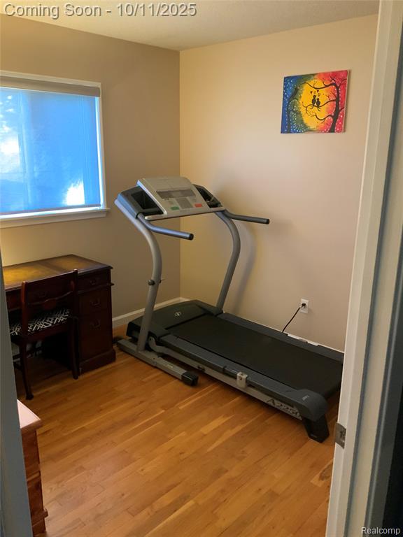 9130 E Bassett Court, Livonia, MI 48150 — Photo 10