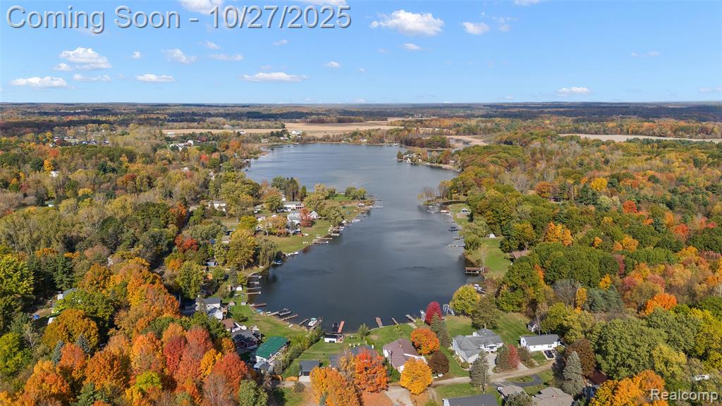100 Curella Drive, Attica, MI 48412 — Photo 5
