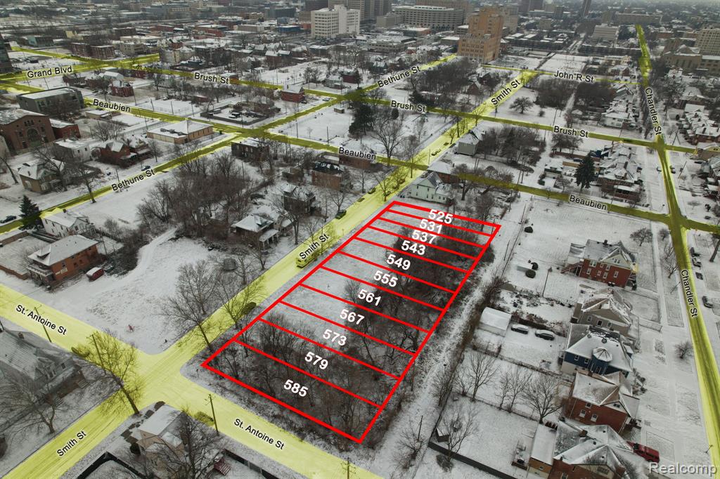 531 Smith Street, Detroit, MI 48202 — Photo 4