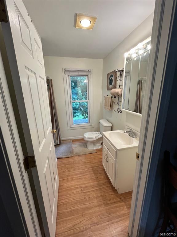 425 SCHOOLHOUSE Street, Ortonville, MI 48462 — Photo 49
