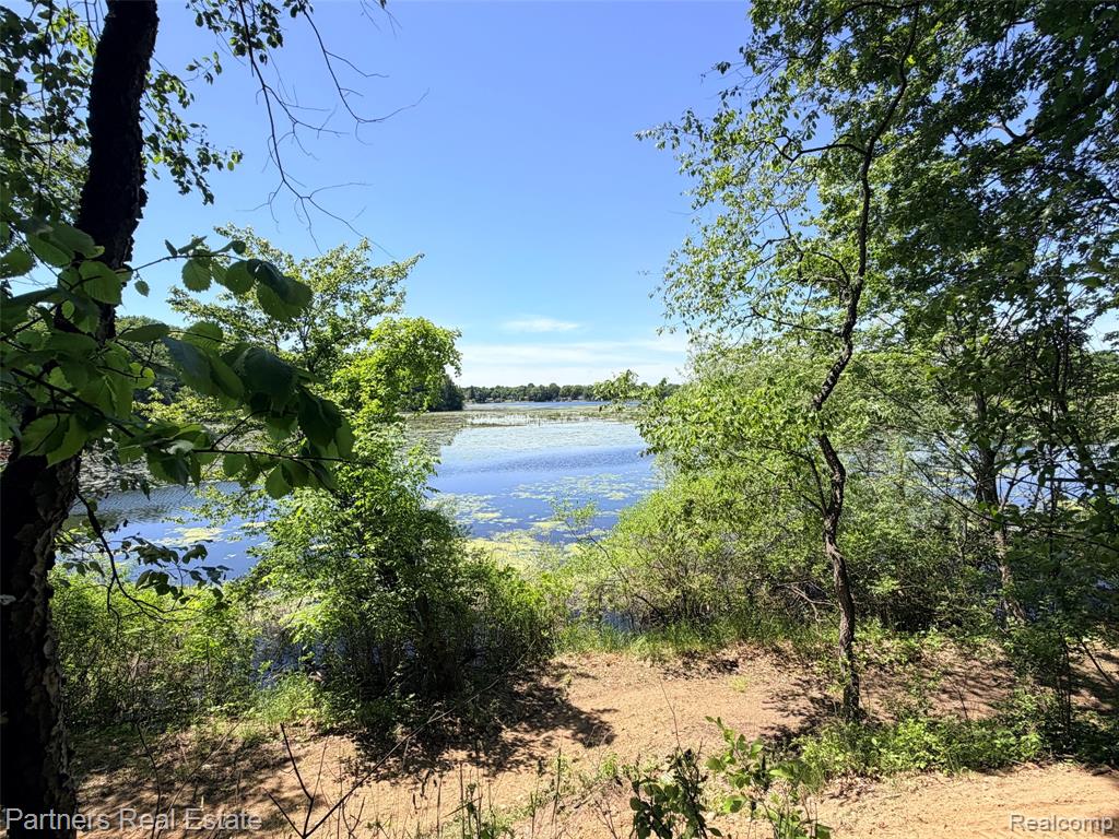 Vacant McKeachie Road, White Lake, MI 48383 — Photo 2