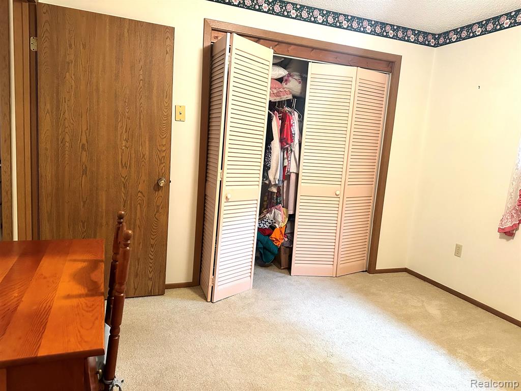 6111 5TH Street, Mayville Vlg, MI 48744 — Photo 11
