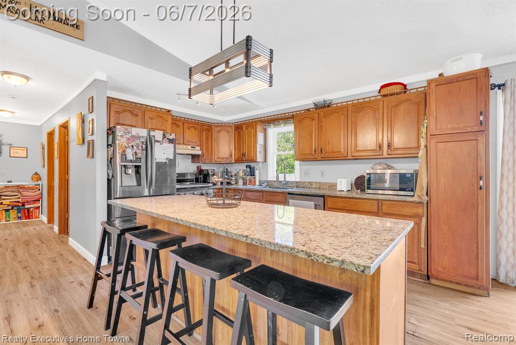 6560 Roach Rd Road, Lexington, MI 48450 — Photo 14