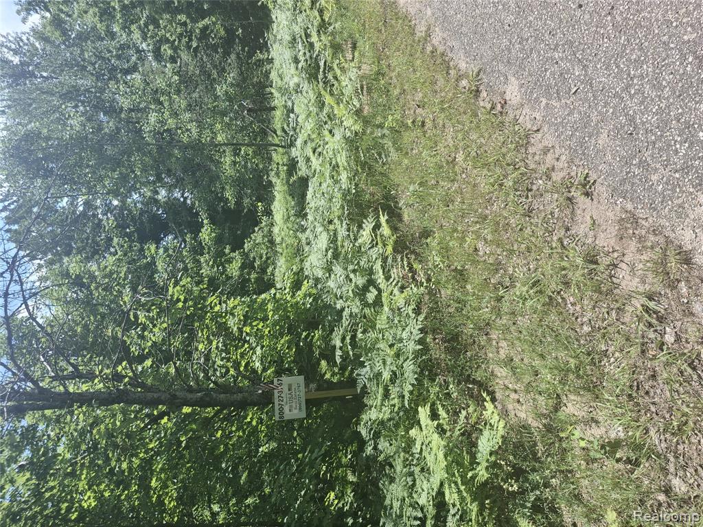 Lot 144 Willamont Circle Lot 144 Circle, Mancelona, MI 49659 — Photo 6