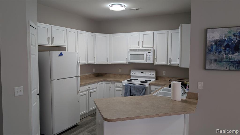 19102 ADDINGTON Drive, Commerce Twp, MI 48390 — Photo 4