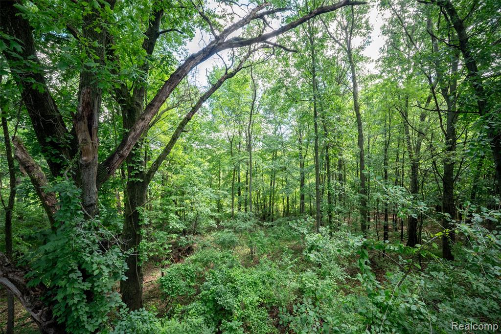 4277 Tux Lane, Milford, MI 48380 — Photo 8