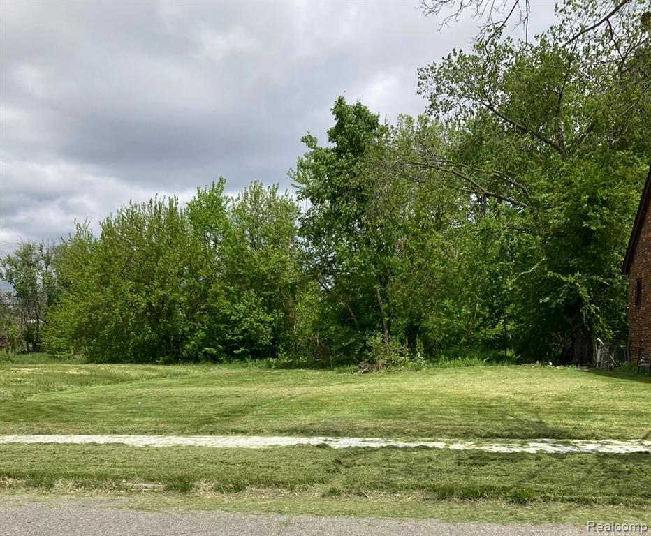 480 MANISTIQUE Street, Detroit, MI 48215 — Photo 3