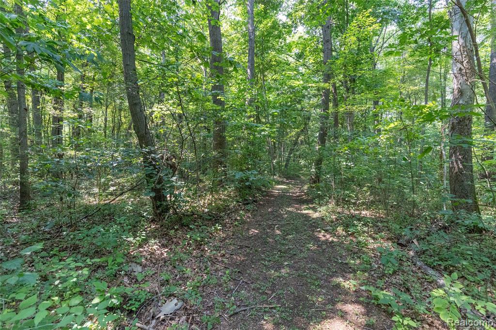 14405 Rawsonville Road, Belleville, MI 48111 — Photo 27
