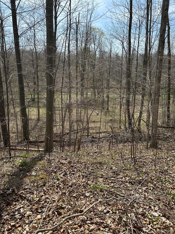4215 JOSHUA Road, Cass City, MI 48726 — Photo 9