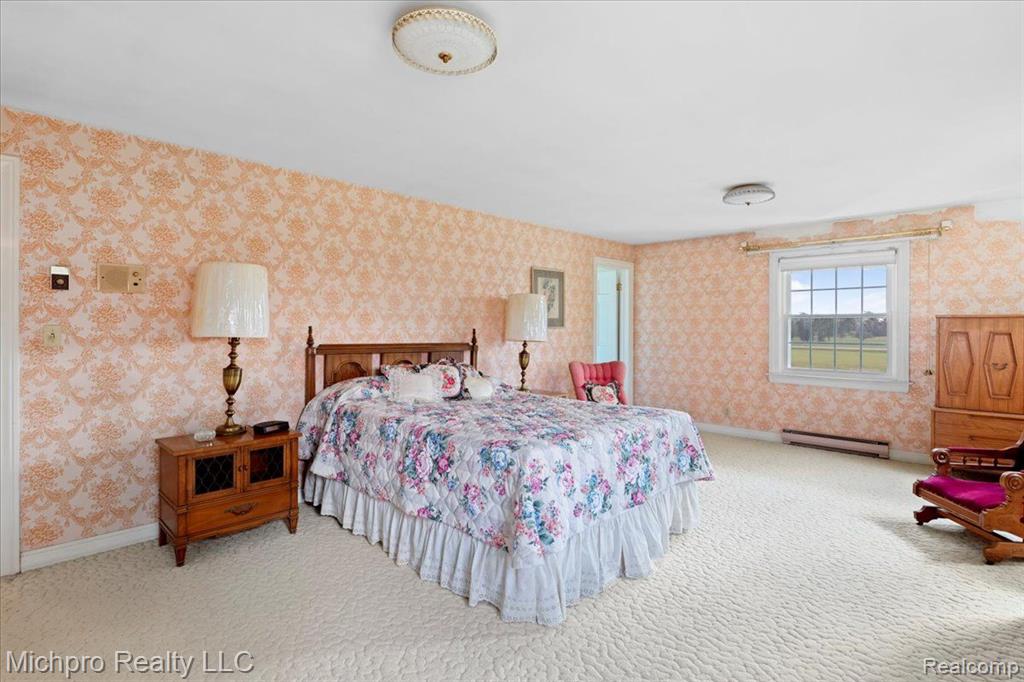 9321 LAPEER Road, Mayville Vlg, MI 48744 — Photo 28