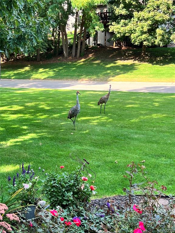 7988 Hillside Lakes Drive, Brighton, MI 48116 — Photo 82