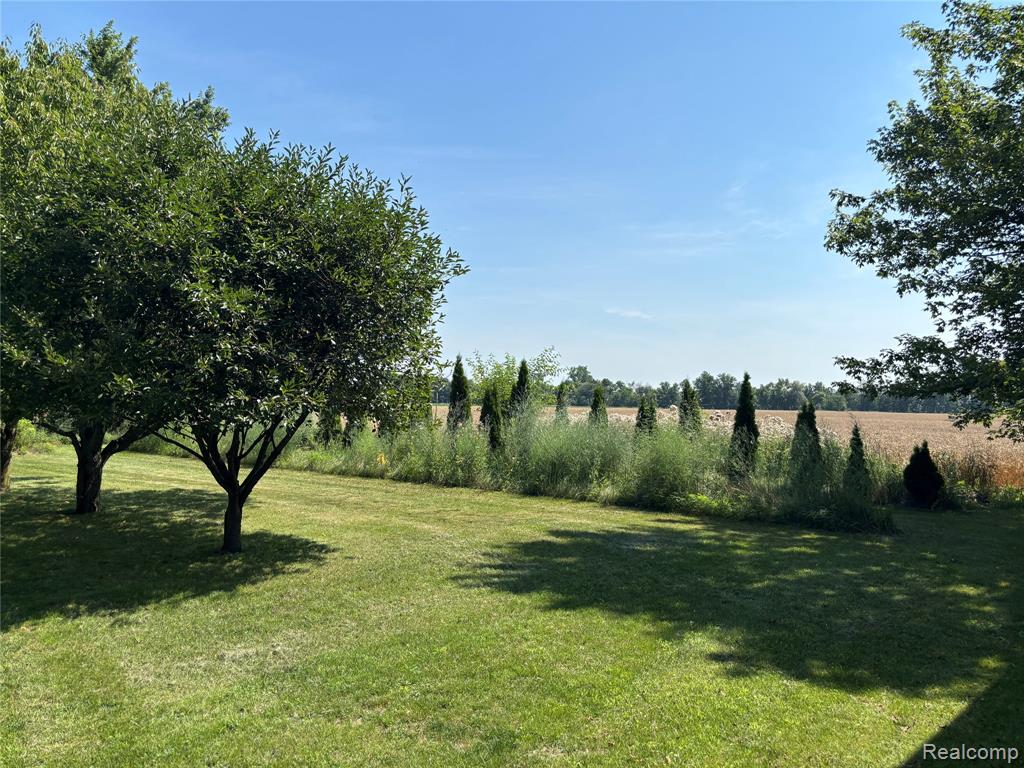 8531 S Waldron Road, Pittsford, MI 49271 — Photo 32