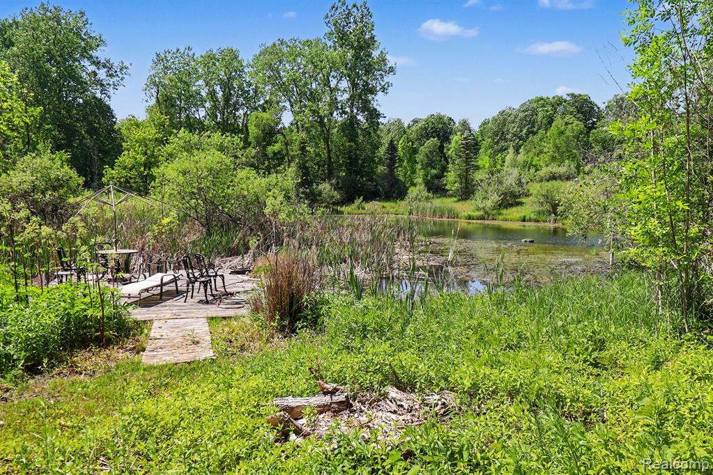 16400 Easudes Road, Grass Lake, MI 49240 — Photo 69