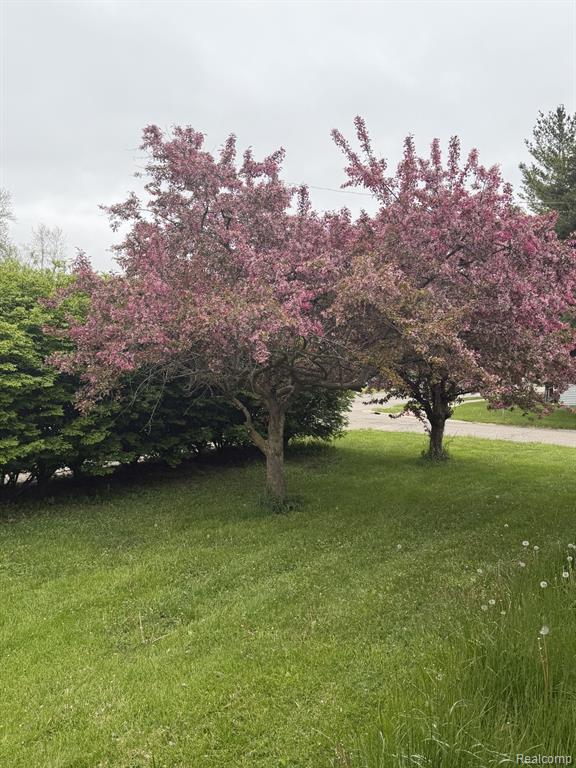 6344 Kilgour Street, Marlette, MI 48453 — Photo 2