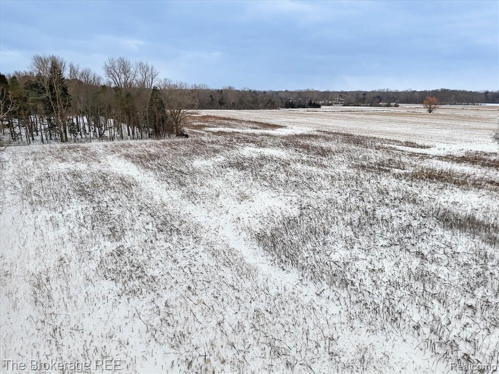 S Gera Rd, Birch Run, MI 48415 — Photo 21