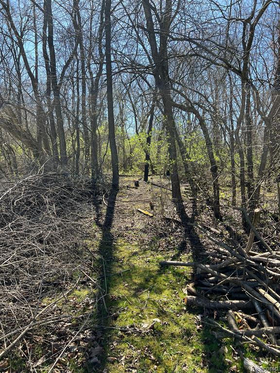 5456 N ELMS Road, Flushing, MI 48433 — Photo 11
