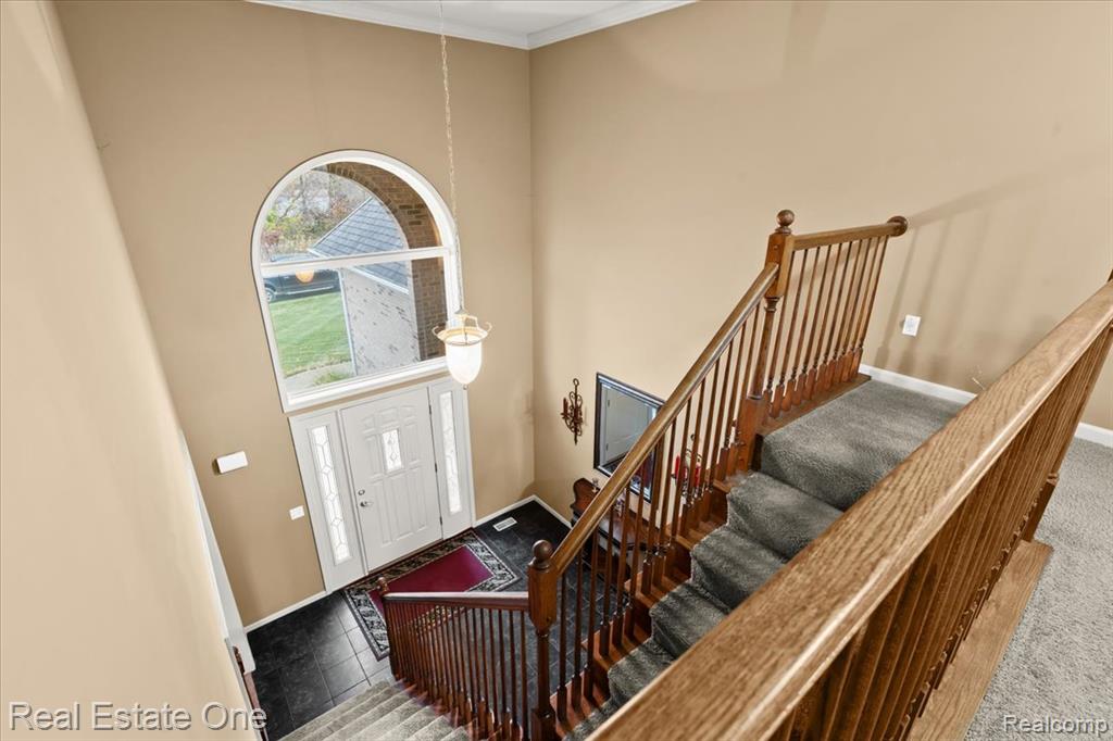 539 Olivia Drive, Milford, MI 48381 — Photo 21