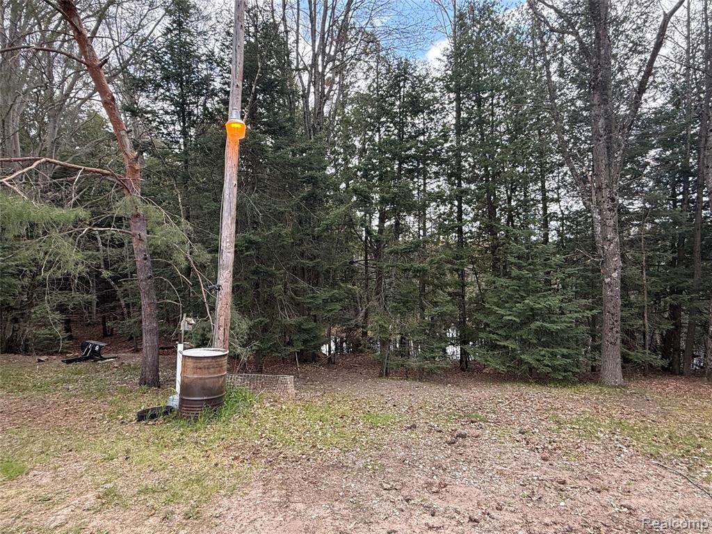 11245 Cedar Road, Lake, MI 48632 — Photo 37