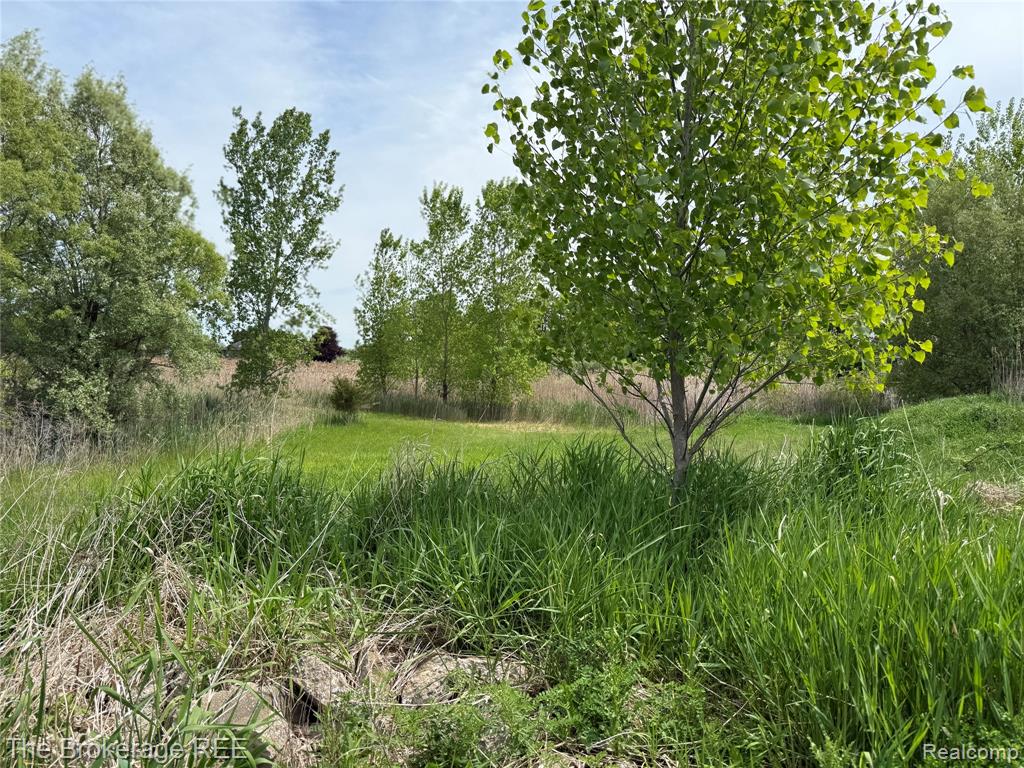 3020 Merwin Road, Lapeer, MI, 48446