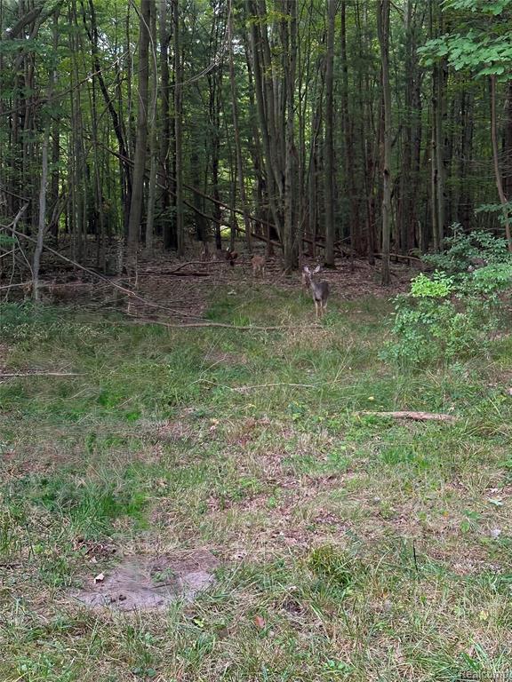 VL Pebble Lane, Fennville, MI 49408 — Photo 2