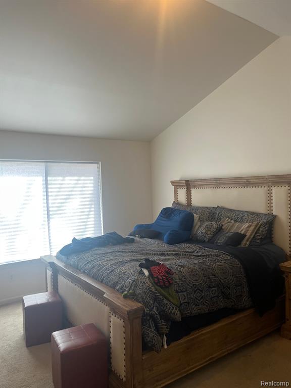 9849 ROLAN MEADOWS Drive, Belleville, MI 48111 — Photo 8