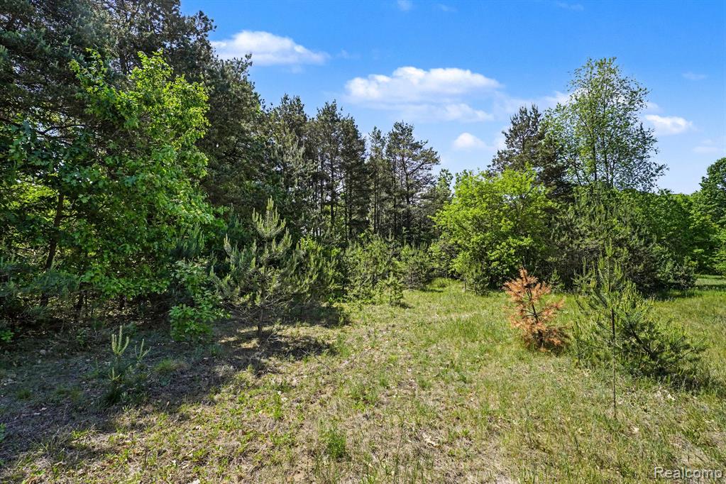 1948 Mayfield Road, Lapeer, MI 48446 — Photo 12