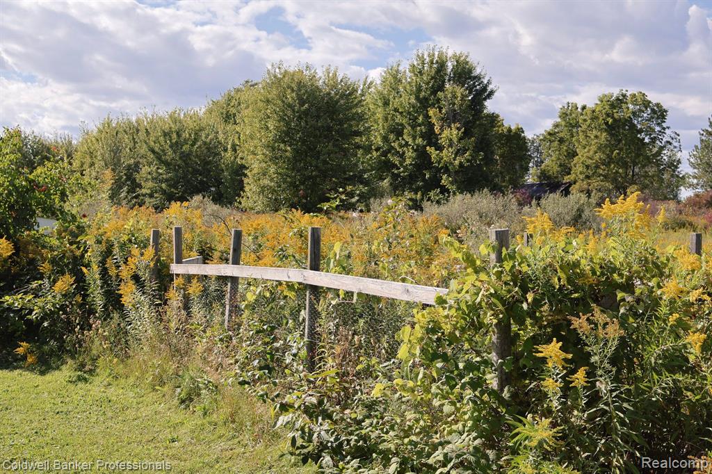 8523 TURNER Road, Imlay City, MI 48444 — Photo 41