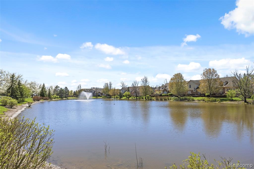 4080 Forest Bridge Drive, Canton, MI 48188 — Photo 53