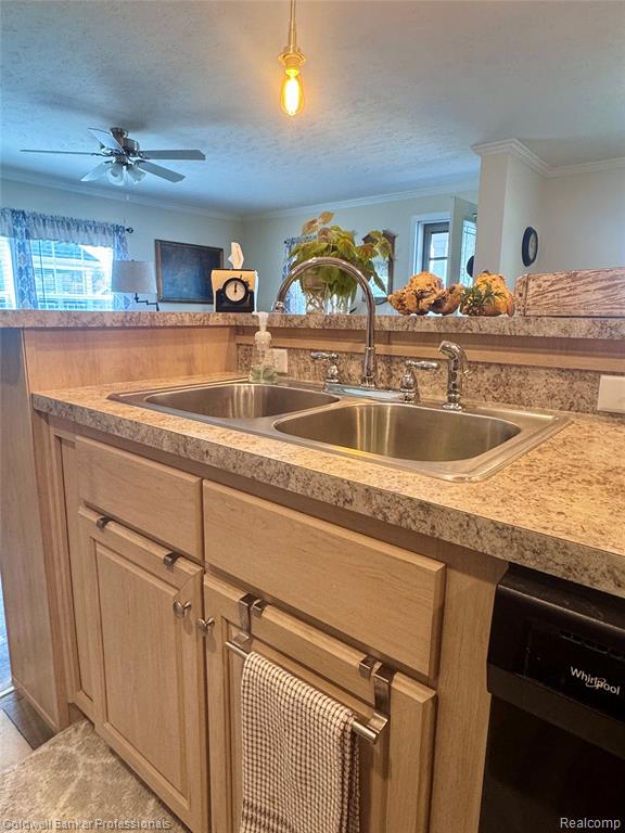 255 Bonita Court, Lapeer, MI 48446 — Photo 11