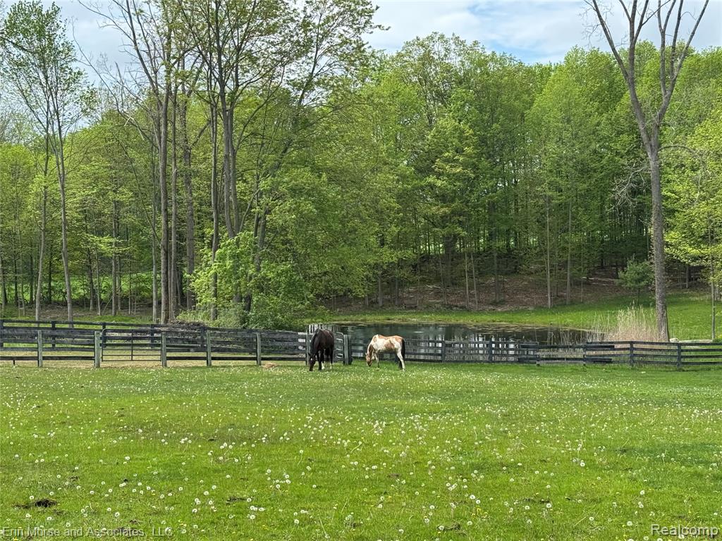 2260 Rock Valley Road, Metamora, MI 48455 — Photo 11
